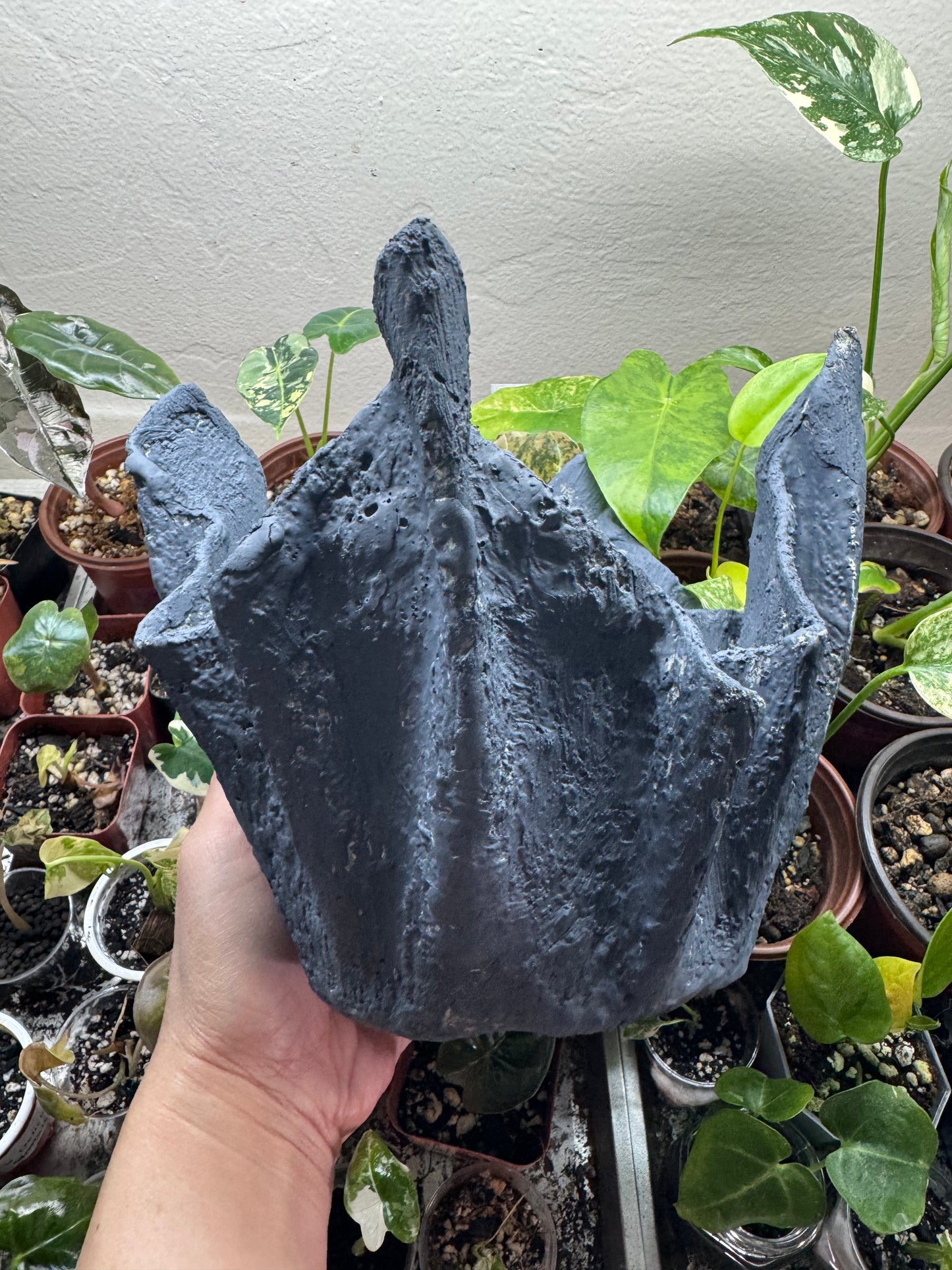 Lightweight Cement Plant Pot