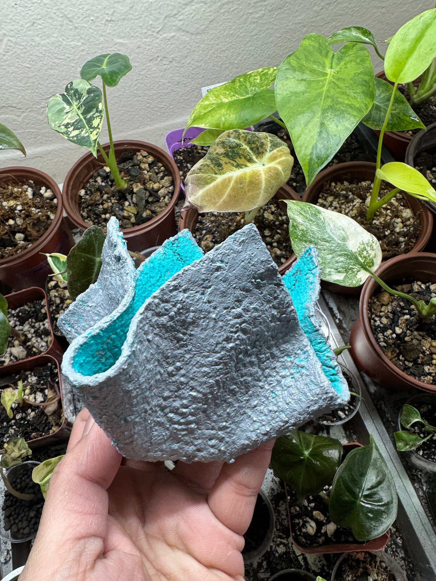 Lightweight Cement Plant Pot