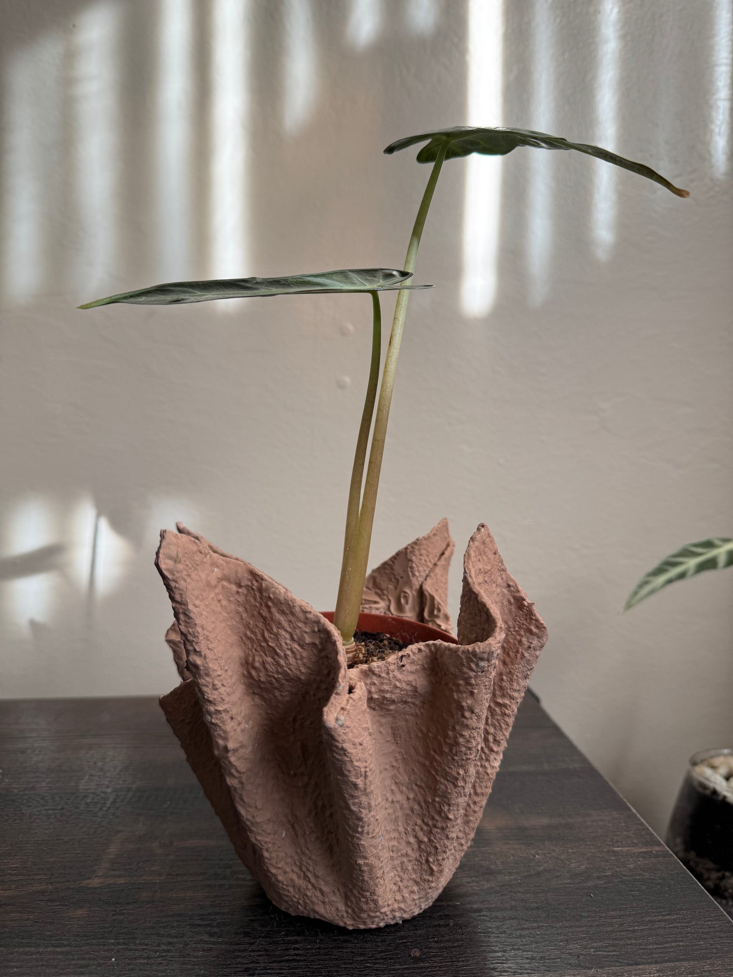 Lightweight Cement Plant Pot