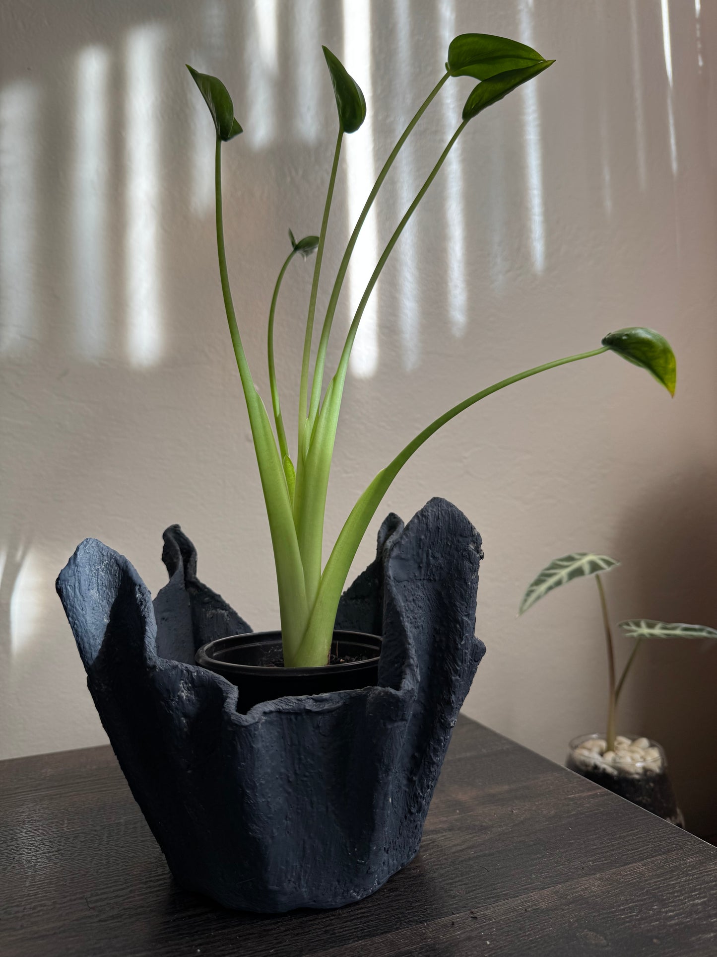 Lightweight Cement Plant Pot