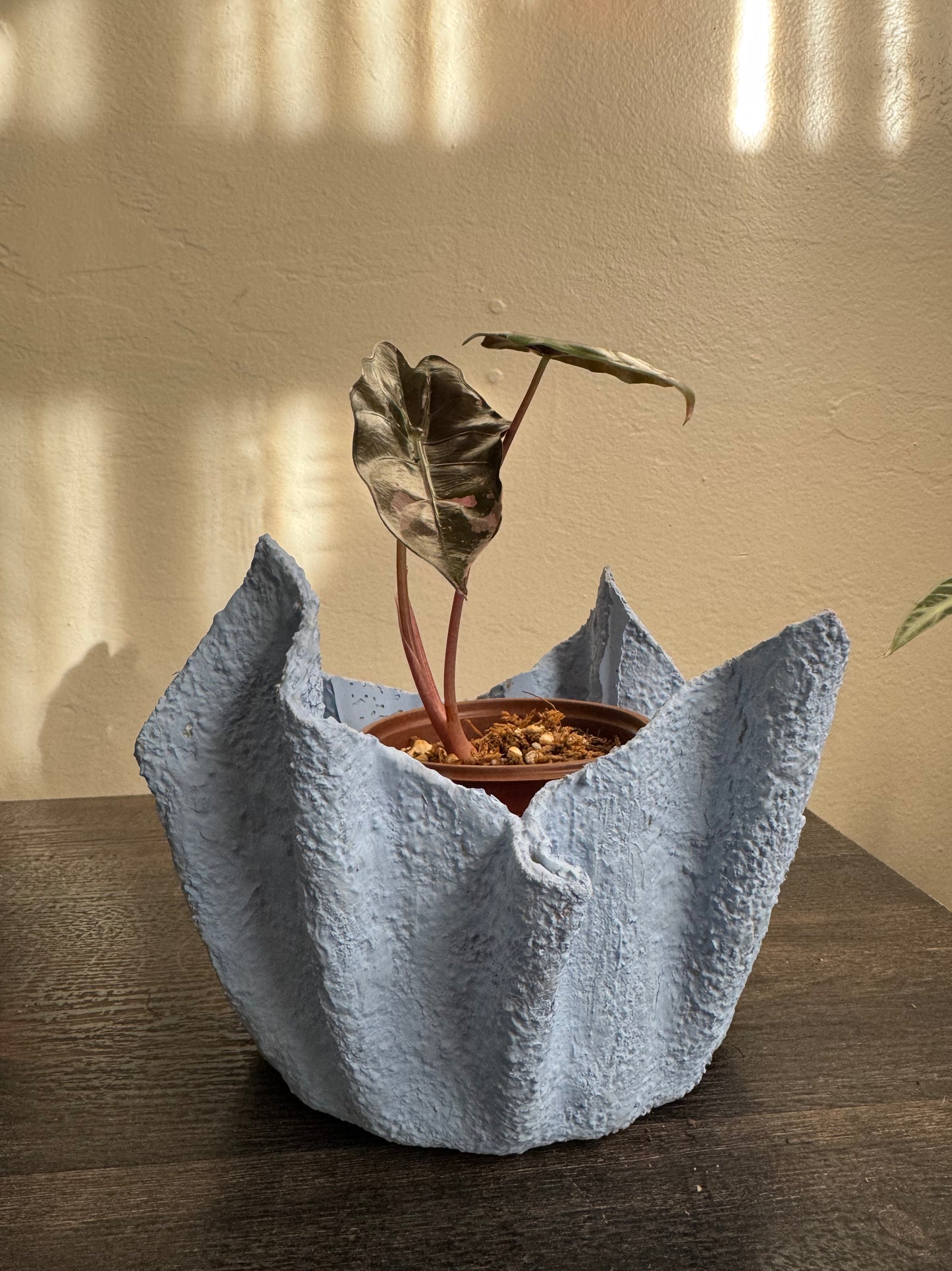 Lightweight Cement Plant Pot