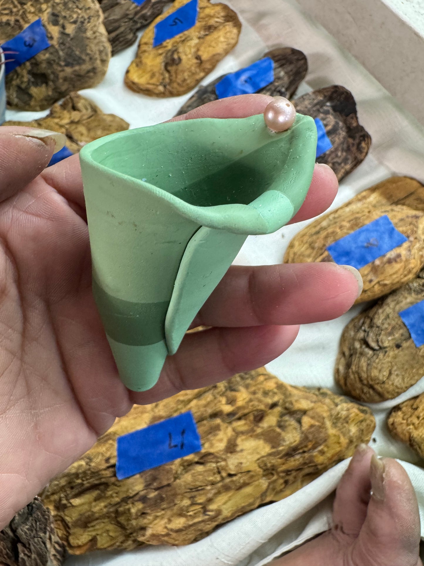 Magnetic Air Plant Holders