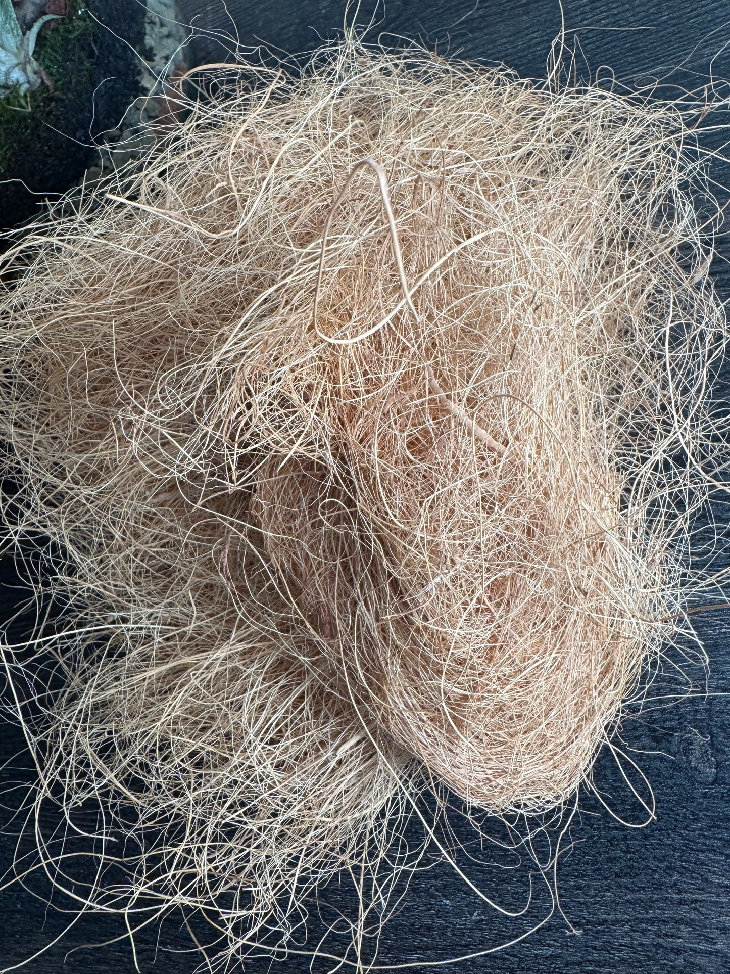Orchid Supplies: Coconut Fiber - 1 oz.
