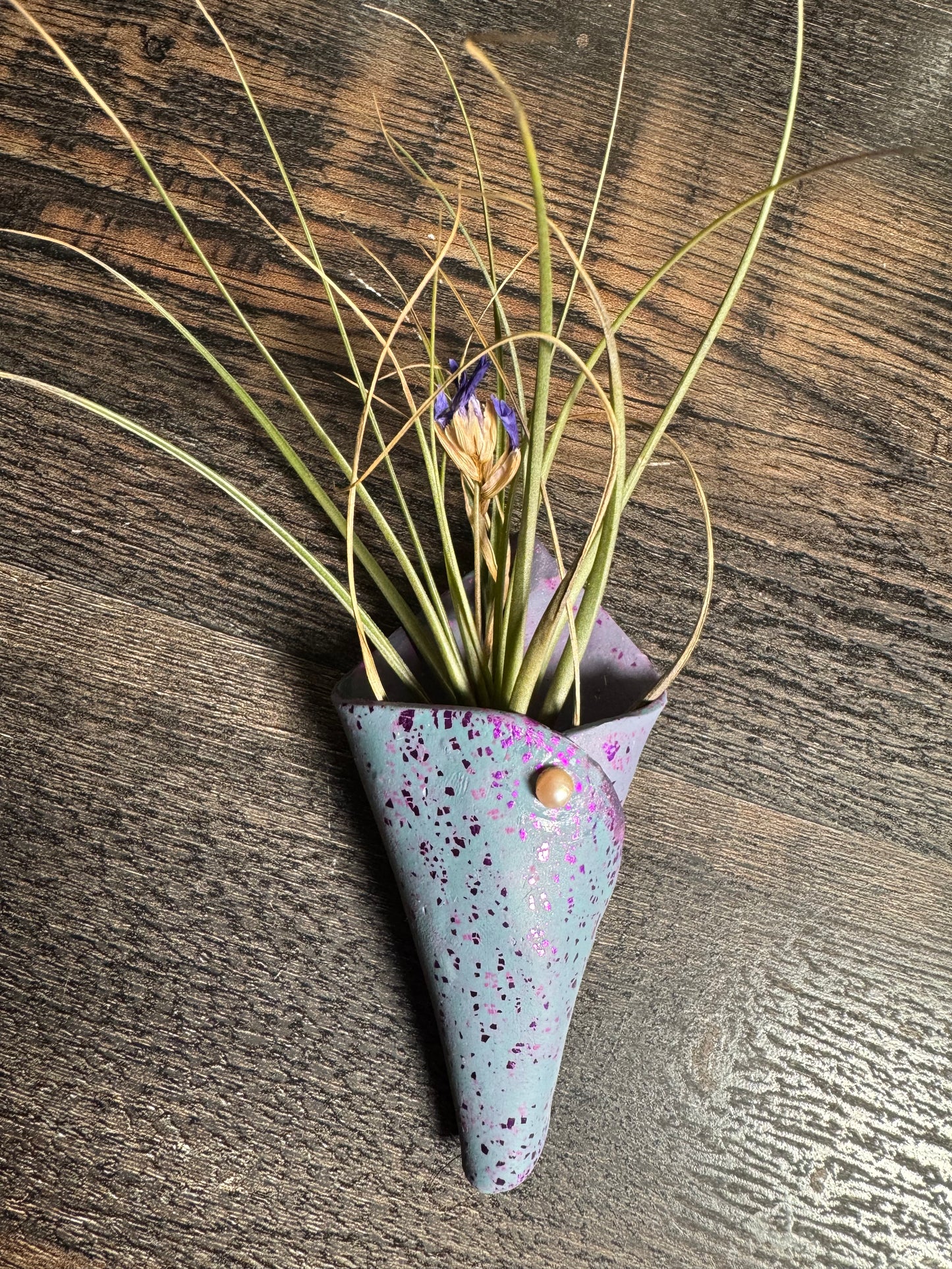 Magnetic Air Plant Holders