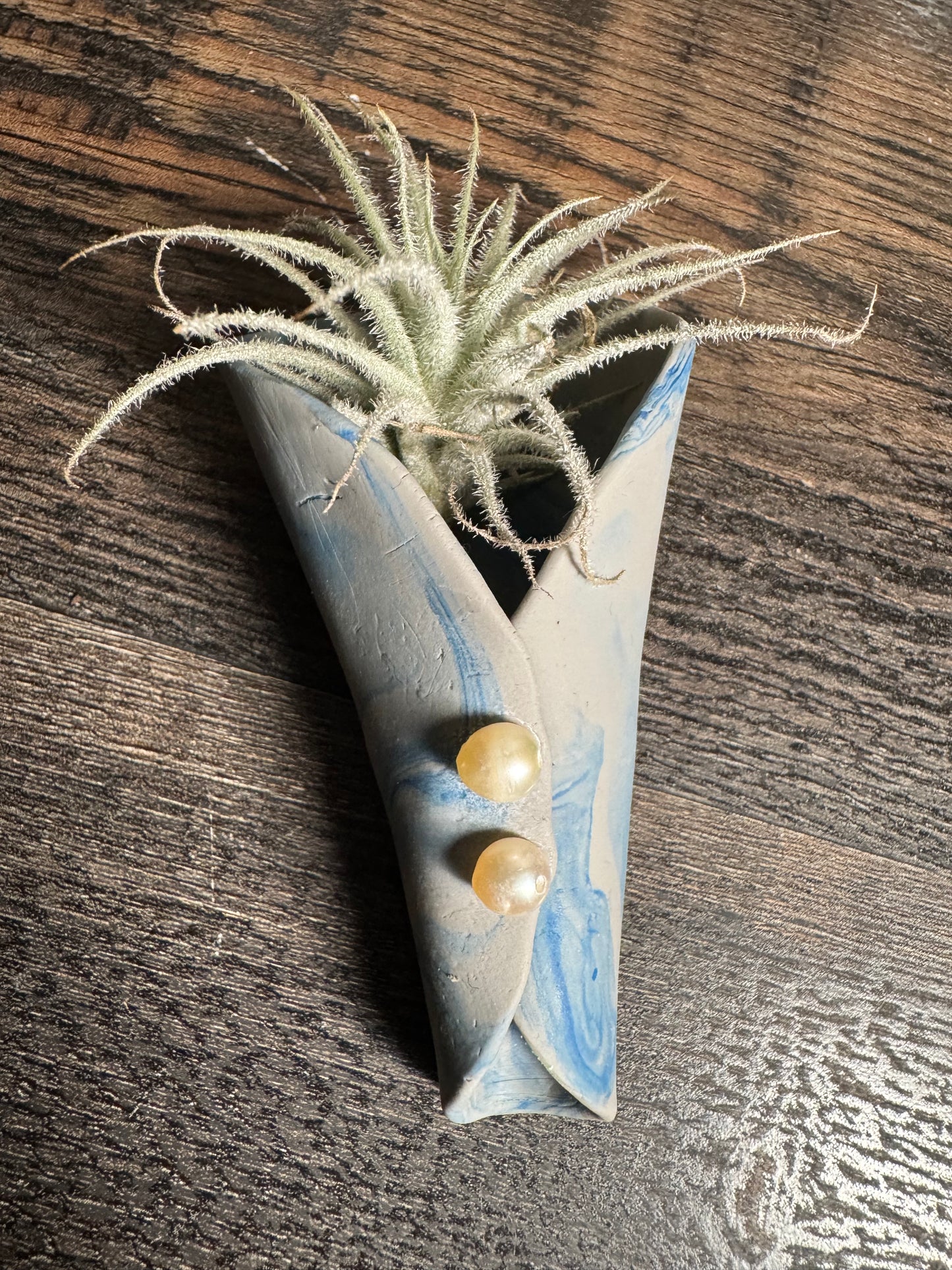 Magnetic Air Plant Holders