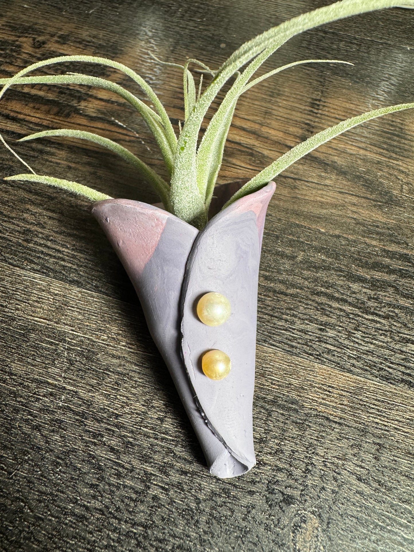 Magnetic Air Plant Holders